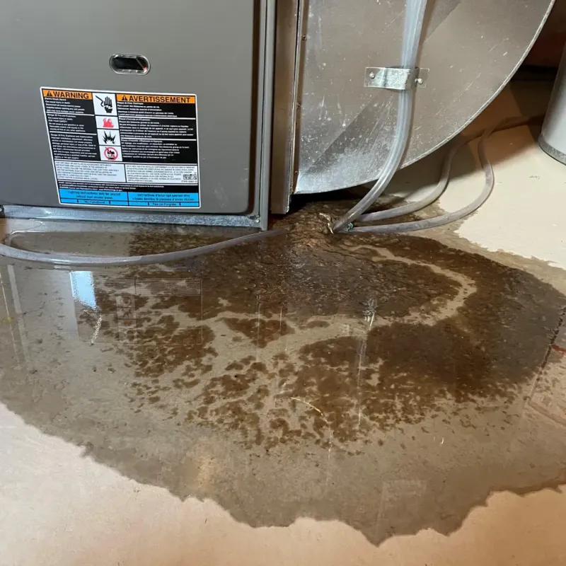 Appliance Leak Cleanup in Sherwood, OR